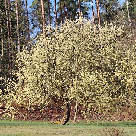 Willa Ferien In Troja Lärz Zewnętrze zdjęcie